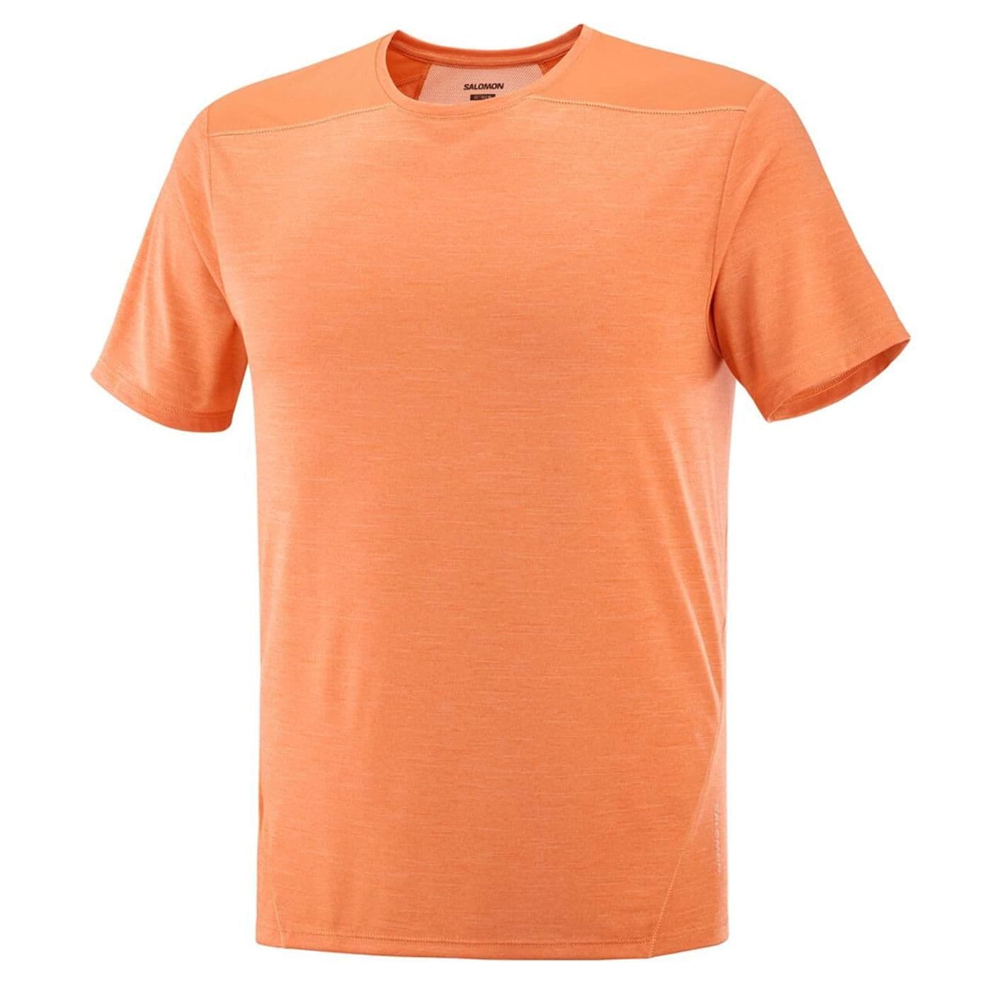 OUTLINE SS TEE langoustino image.