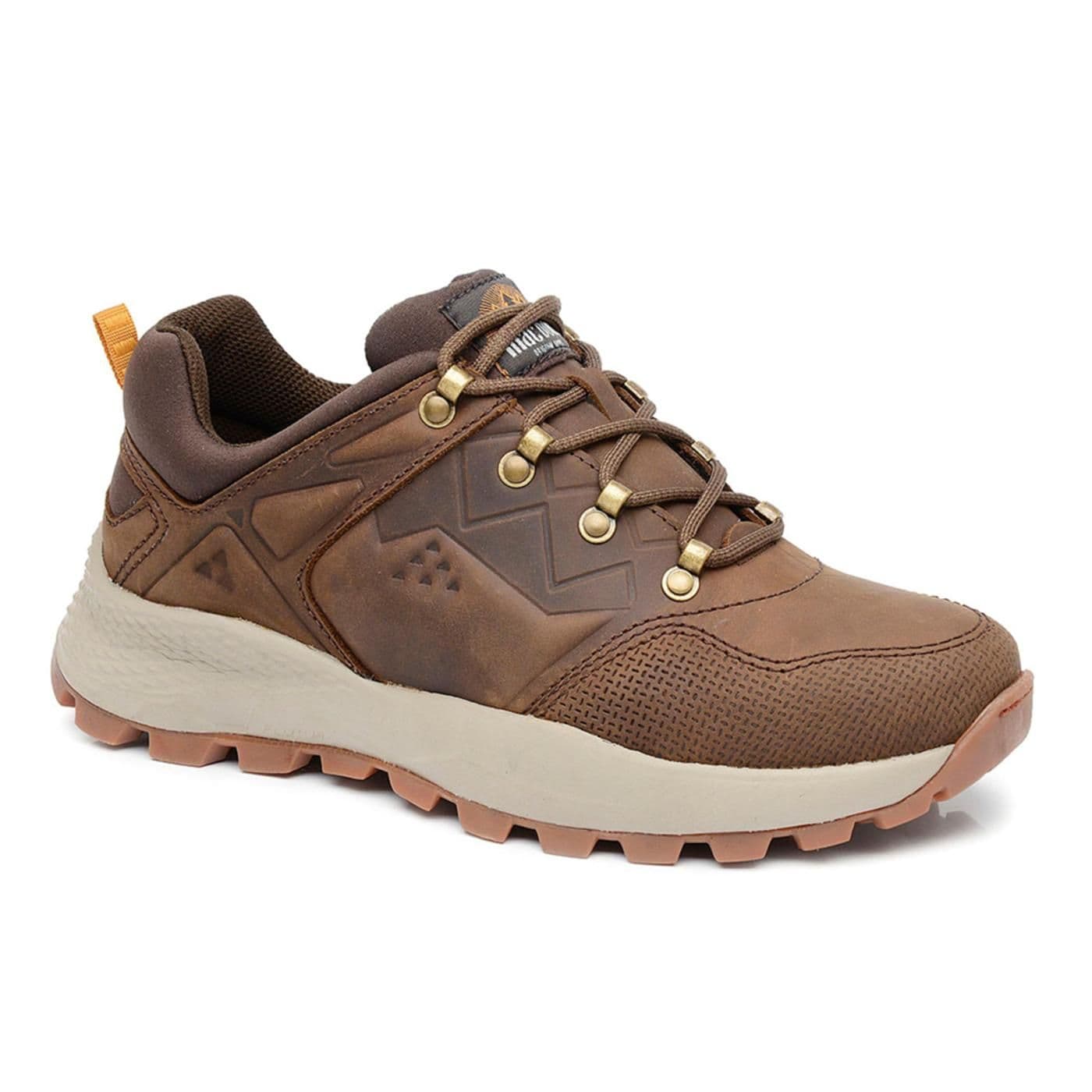 LOPO 01 bronw image.