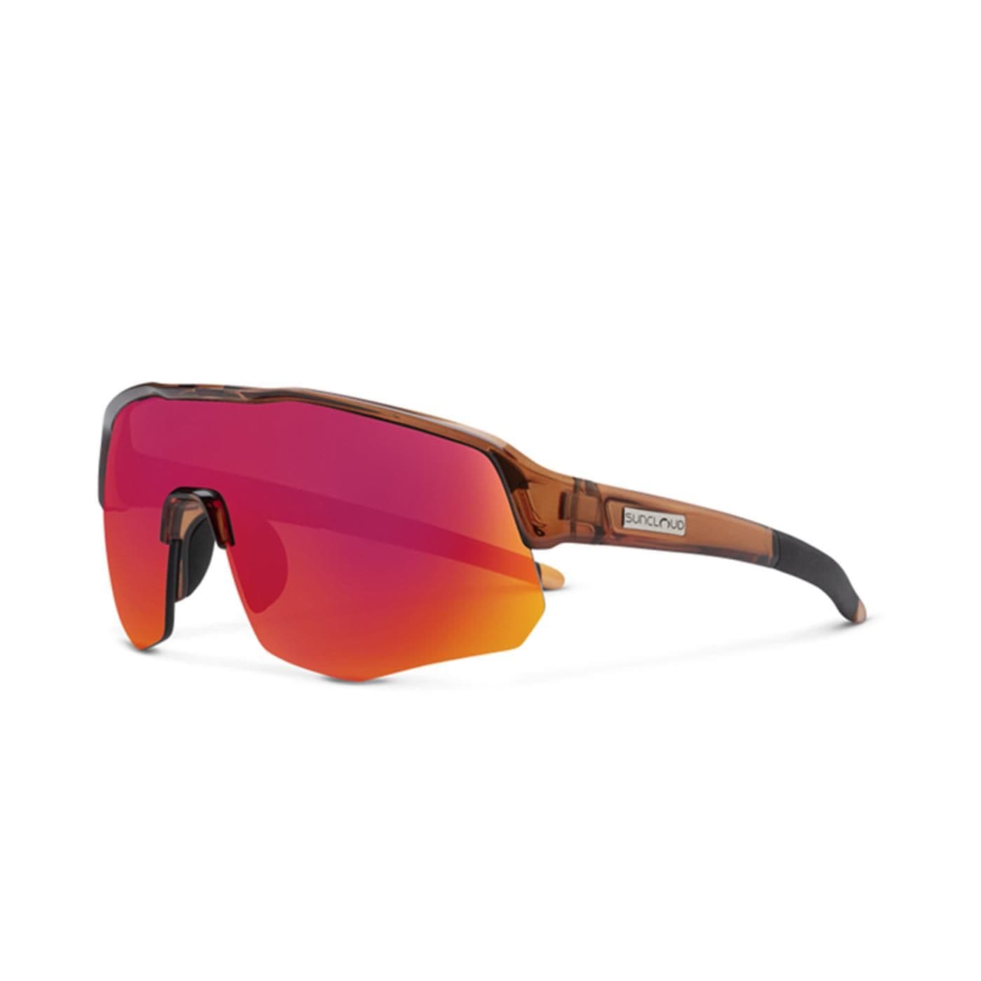 Marion tortoise + polarized brown image.