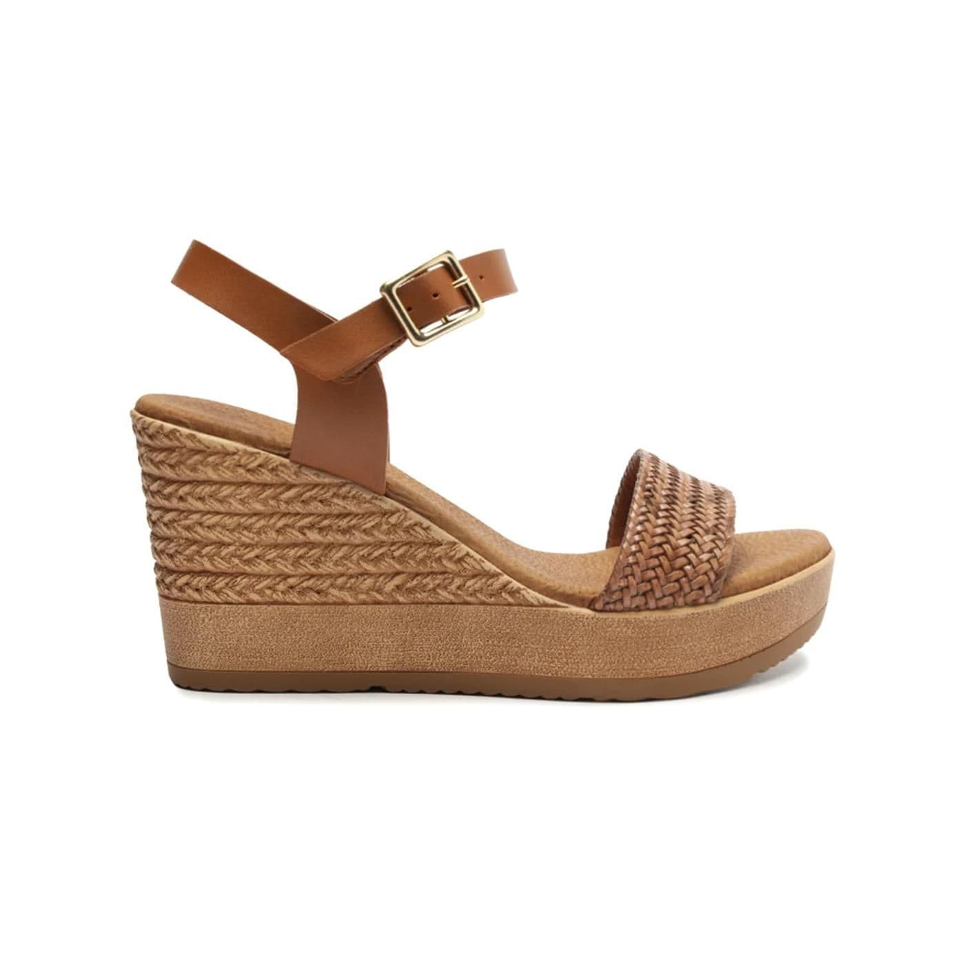 A1269700010007 new camel image.